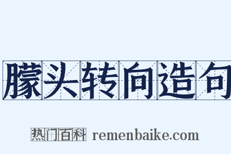 朦头转向造句是什么意思的图片